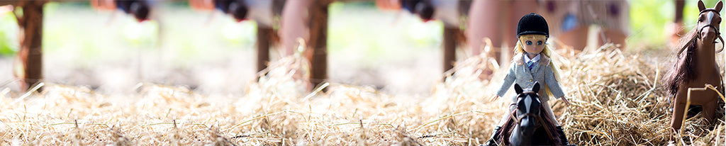 doll-pets-pony-horses